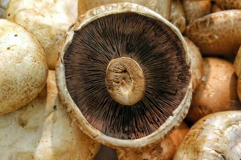 Beef Stuffed Mushrooms